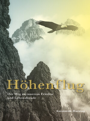 cover image of Höhenflug